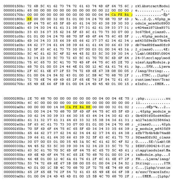 Figure 10. CAFEBABE headers within the main modules