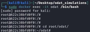 Figure 10. CLI access to the ODAT Docker instance