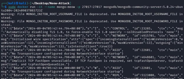 Figure 3. The docker run command is executed to start the MongoDB Docker instance.