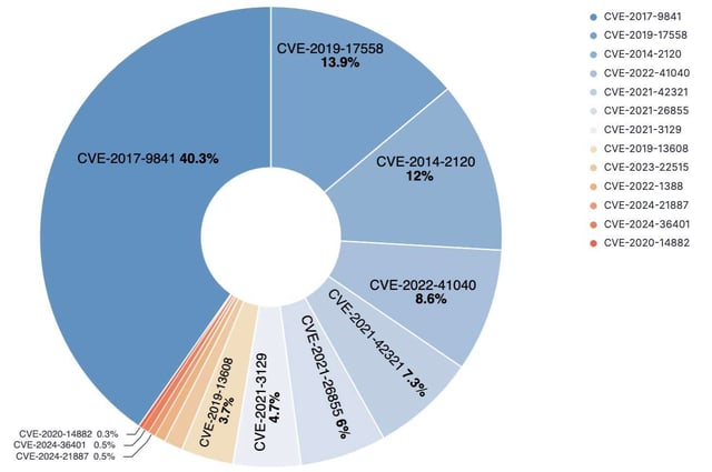 Figure 5. Top observed CVE requests to the web server.