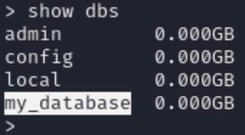 Figure 9. The show dbs command is executed in MongoDB CLI.