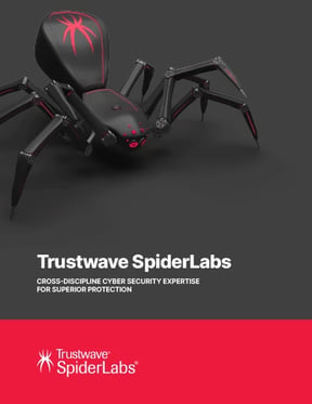18573_spiderlabs-cyberexpertise-cover