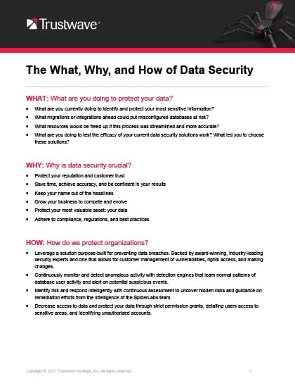 18879_what-why-and-how-of-data-security-cover