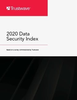17230_2020-data-security-cover