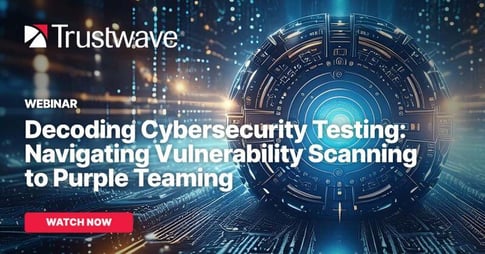 Decoding Cybersecurity testing navigating vulnerability scanning to purple teaming